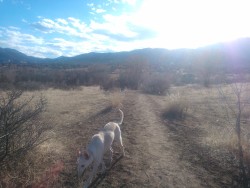 We went to Bear Creek today and it was very nice out :) 