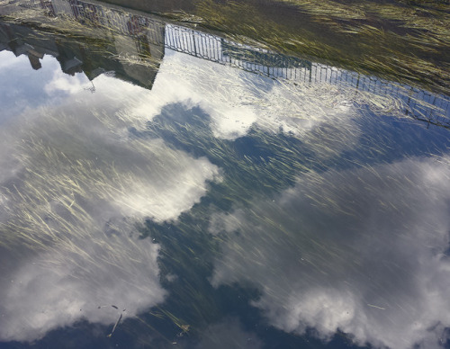panneau-tableau:Reflections