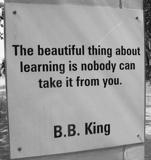 bb king