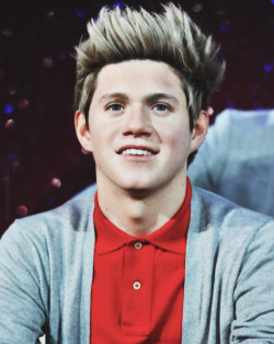 zaynrocksmyworld:  Niall’s wax figure at