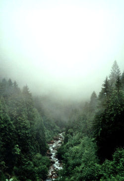 lori-rocks:  mist over the alps… by martin schmidt