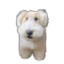 phayzur