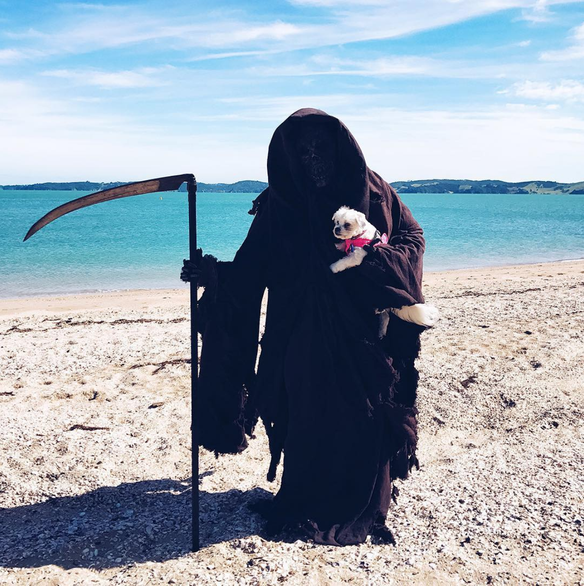 archiemcphee: Meet The Swim Reaper, death taking an extended holiday on the beaches