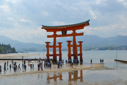 torii gate