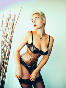 stefaniamodel:   Dita Von Teese lingerie