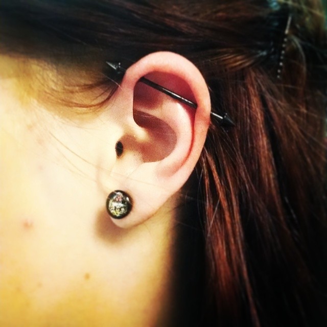 Another Industrial piercing I did. #industrial #instafollow #instalike #piercinglife