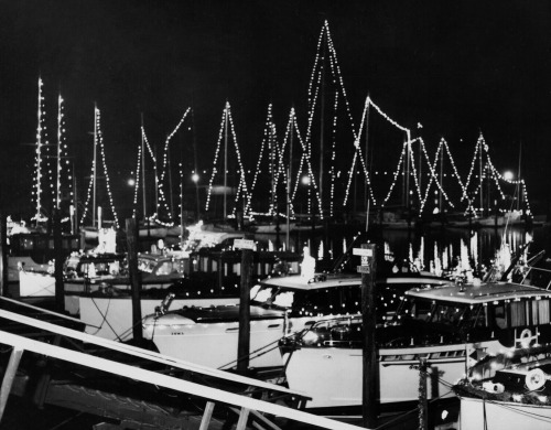 San Francisco Yacht Harbor - December 1953.