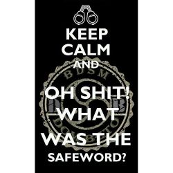 ▪Não esqueça a &ldquo;safeword&rdquo;! • Non dimenticare il &ldquo;safeword&rdquo;! • Do not forget the &ldquo;safeword&rdquo;! • Glöm inte &ldquo;safeword&rdquo;! (em BR101 - Floripa)