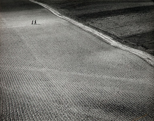gacougnol: Pawel Pierscinski