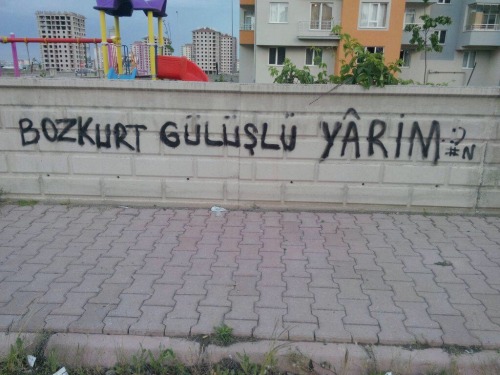 duvardakisesler:  Bozkurt gülüşlü yârim :)