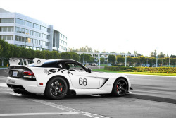 automotivated:  Venomous by Nathanael L. Photography on Flickr.