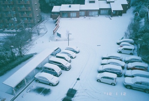 今年は雪がよく降りました。 出産後だったので、どちらにしろどこへも行けず、家の中から降る雪を見たり、ベランダや玄関の外に少し出て写真を撮ることしか出来ませんでした。 それはそれでストレスでしたが。笑 