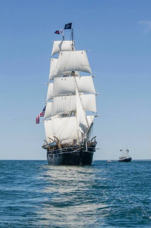 everythingisahoax: Charles W Morgan under sail.