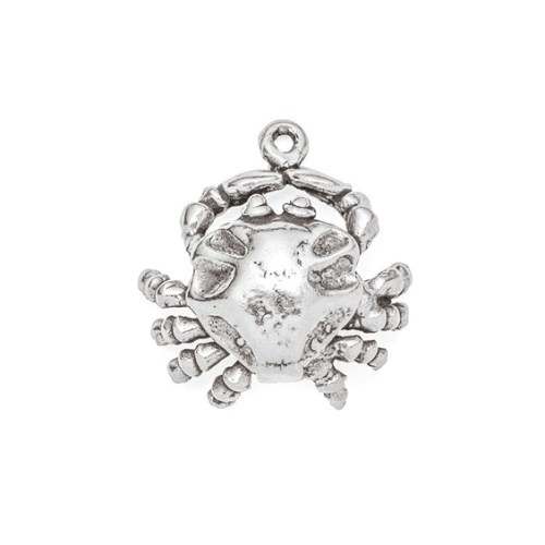 Silver Crab Charm