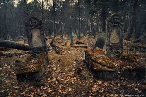 hourglassofblacktears:Poland.