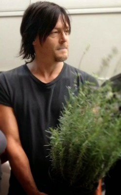 reedus-place:  Totally peeing in the bushes.Reedus