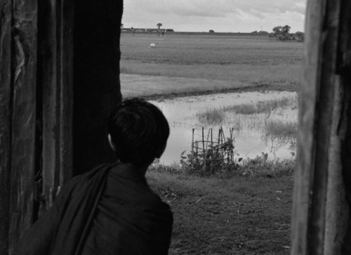 verachytilovas:APARAJITO ‘অপরাজিত’ (1956) dir. Satyajit Raycinematography by Subrata Mitra