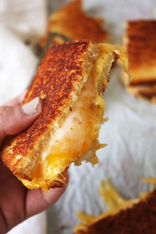 verticalfood:  Fancy Schmancy Grilled Cheese 
