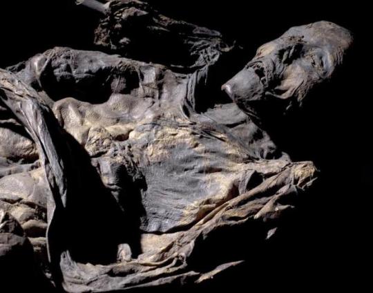 New method reveals the secrets of bog bodies