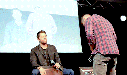 mishasminions: MISHA: When I say “When in Rome”, I just meant, “Show each other our underwear.”JENSE