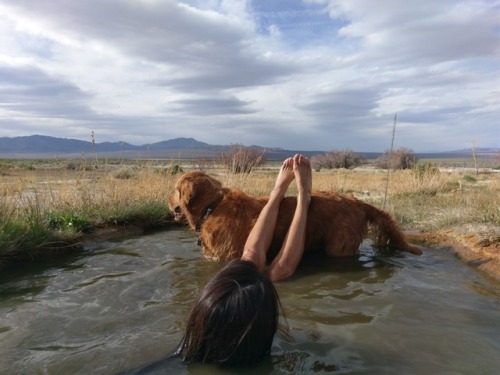 Dogs are more than just loyal companions, they are also very comfortable leg rests. (taniainnature)