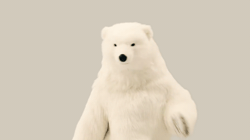 caseylalonde:  oceanmaster:  Protect Kyary Pamyu Pamyu’s Polar Bear friend at all costs. Tumblr’s GIF upload is actually behaving for once, what the fuck  Husbear 