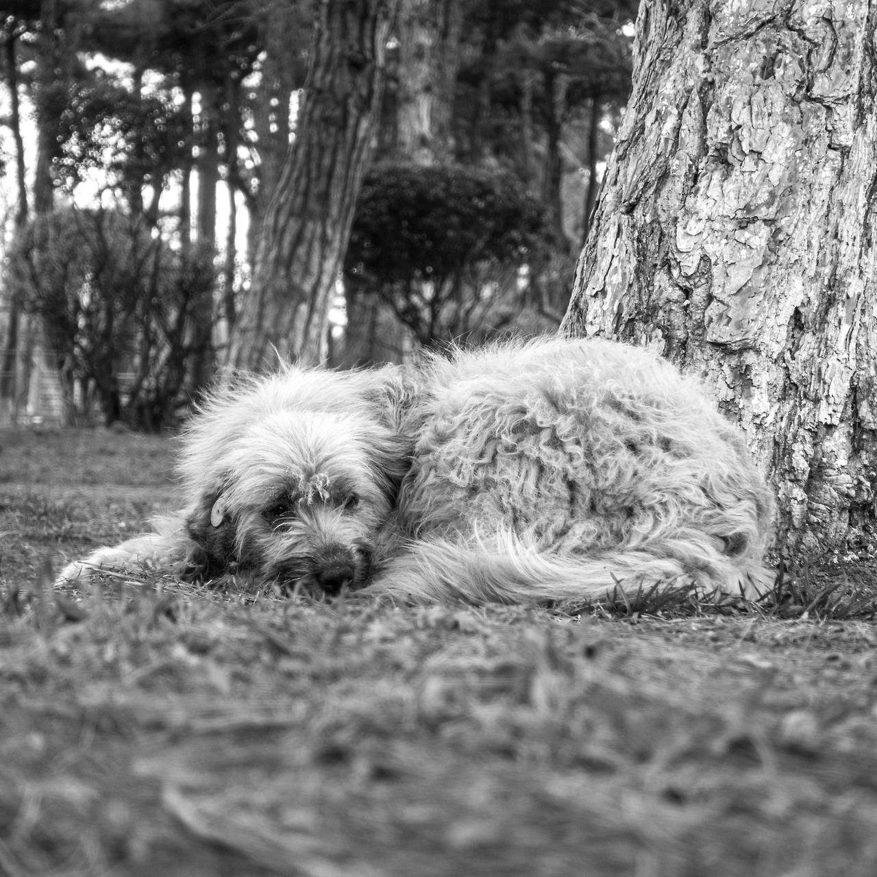 tbilisi-5-tumblr-gallery