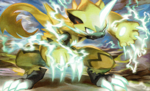 Zeraora – kawayoo