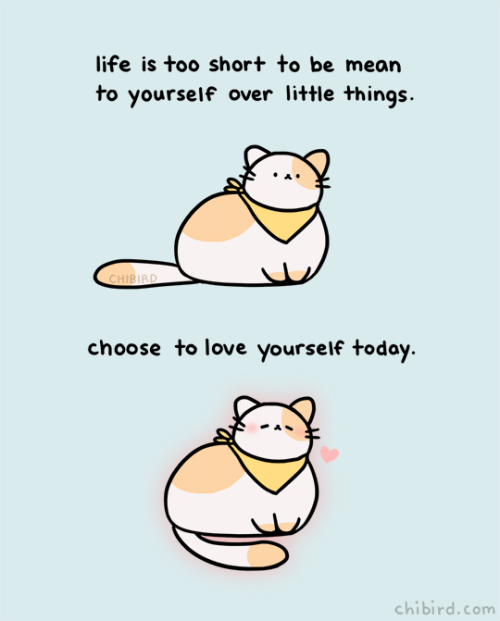 chibird:A very soft and chubby cat with an important reminder for self love! ♡Pre-order my book Load