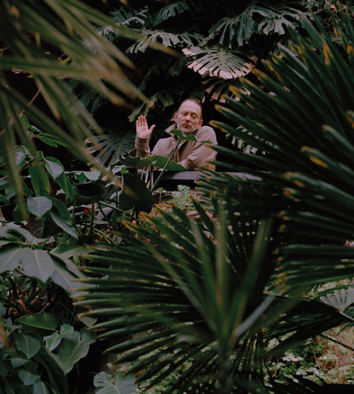 geminiscene:    thom yorke of radiohead, 2019.