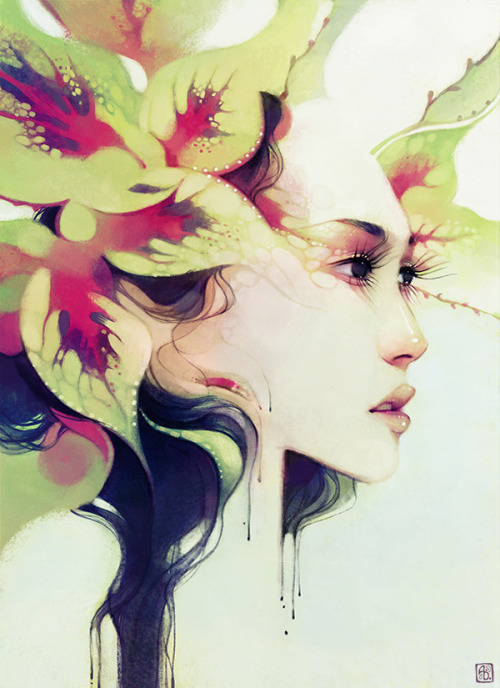 annadittmann:  “Bauhinia” “Lantana” “Drosera” “Coleus”A four portrait series inspired by a recent trip to Hong Kong!Prints available hereannadittmann.com