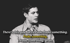 dickiebirdie37:  J2 + first meetings/impressions 