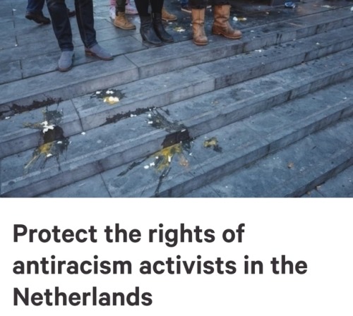 Freedom of speech and the right to demonstrate are fundamental rights. Throughout the Netherlands th