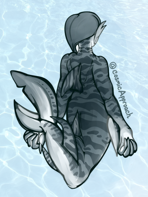 supreme-leader-stoat:cosmicapproachart:big character sheet commission of a cool shark mermaid!!!!! ✨