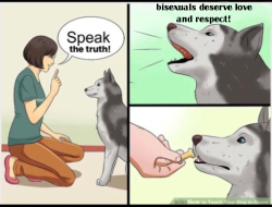 thefingerfuckingfemalefury:GOOD DOG