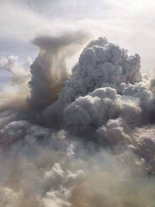 Some scary pictures from the Fort McMurray fire. Please text REDCROSS to 30333 or go to redcross.ca 