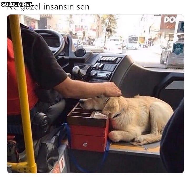 Ne güzel insansin sen DO Exc