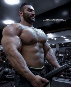 pjsesq: Iranian Hercules Pouria Payoon Um.