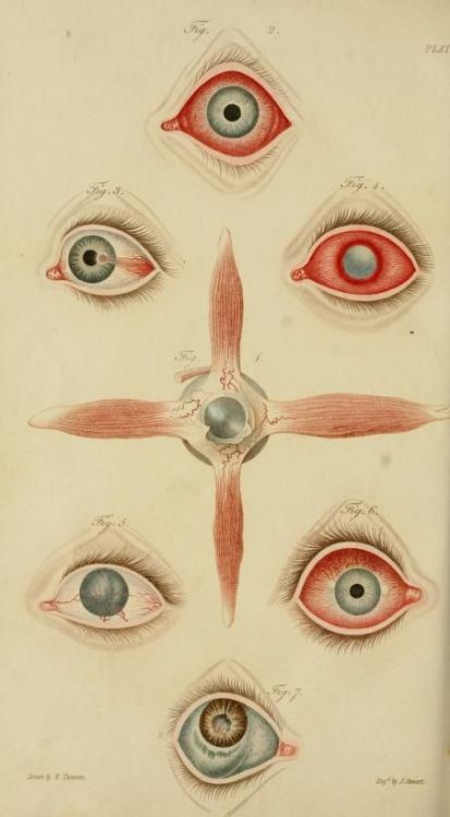 emmaklee:A synopsis of the diseases of the eye and their treatment (1824)