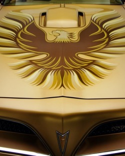 Specialcar:  1978 Pontiac Firebird Trans Am Gold Special Edition 
