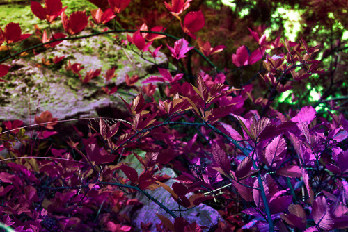 Back To Some Pretty Colours, Now More Vibrant And Saturated Than Ever.