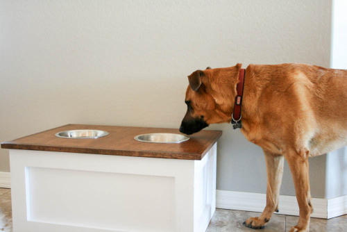 DIY Dog Food Station With Storage | Addicted 2 DIY