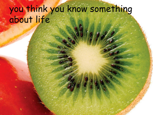 cronusminaj:  noitsayslettuce:  cronusminaj:      wait did i just get told off by a kiwi  yes 