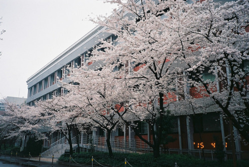 京都大学・数理解析研究所 by zyu10 on Flickr.