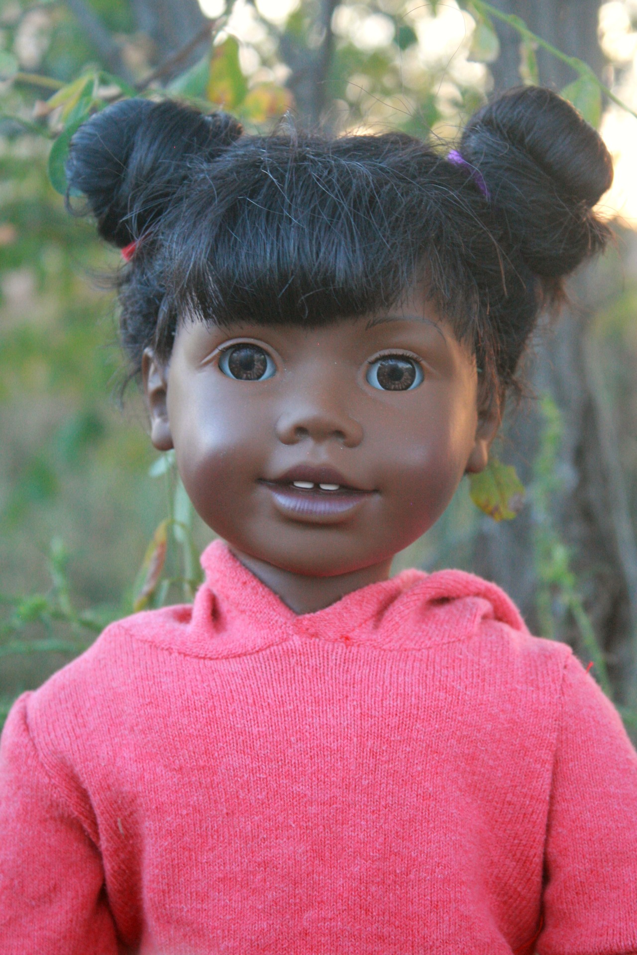 The Doll Ranch Ellen Wants To Know If Your Dolls Can Come Outside the-doll-ranch-ellen-wants-to-know-if-your-dolls-can-come-outside
