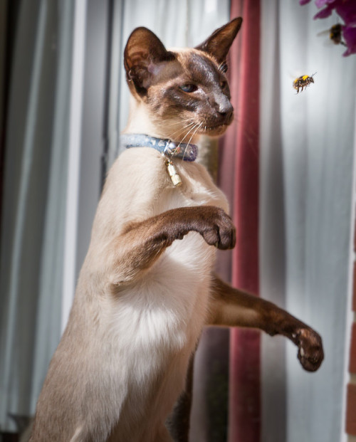 (via Blue Point Photography)