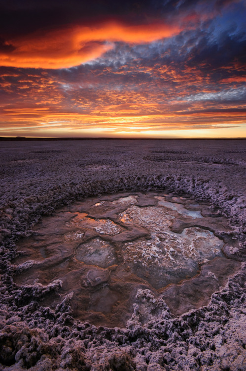 Alkali Lake by Tim Gallivan.