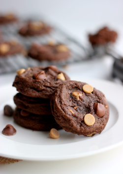 confectionerybliss:  Double Chocolate Peanut