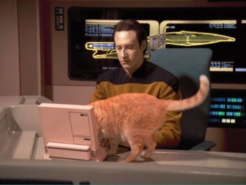 ace-aro-fandroid:Data beginning to malfunction in one of TNG’s most-loved off-the-wall-goofy episode