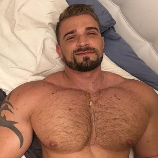 hairynmuscleman:  Hairy’n’Muscle Manthe hottest menhttp://hairynmuscleman.tumblr.com/